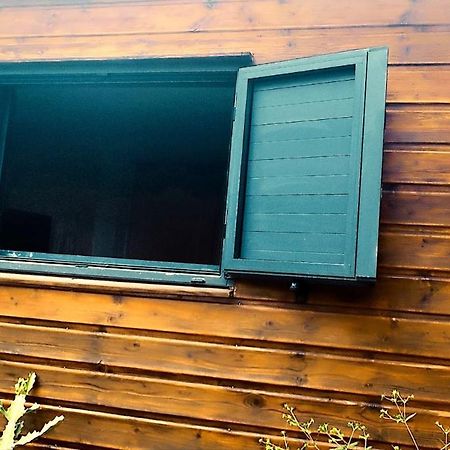 Tiny House Les Cactus - Bungalow St Gilles Les Hauts Saint-Paul Extérieur photo